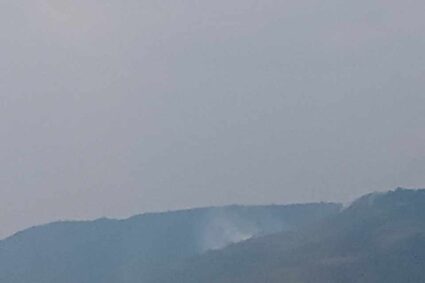  Incendio Forestal Afecta Cultivos y Bosque Nativo en Las Pircas